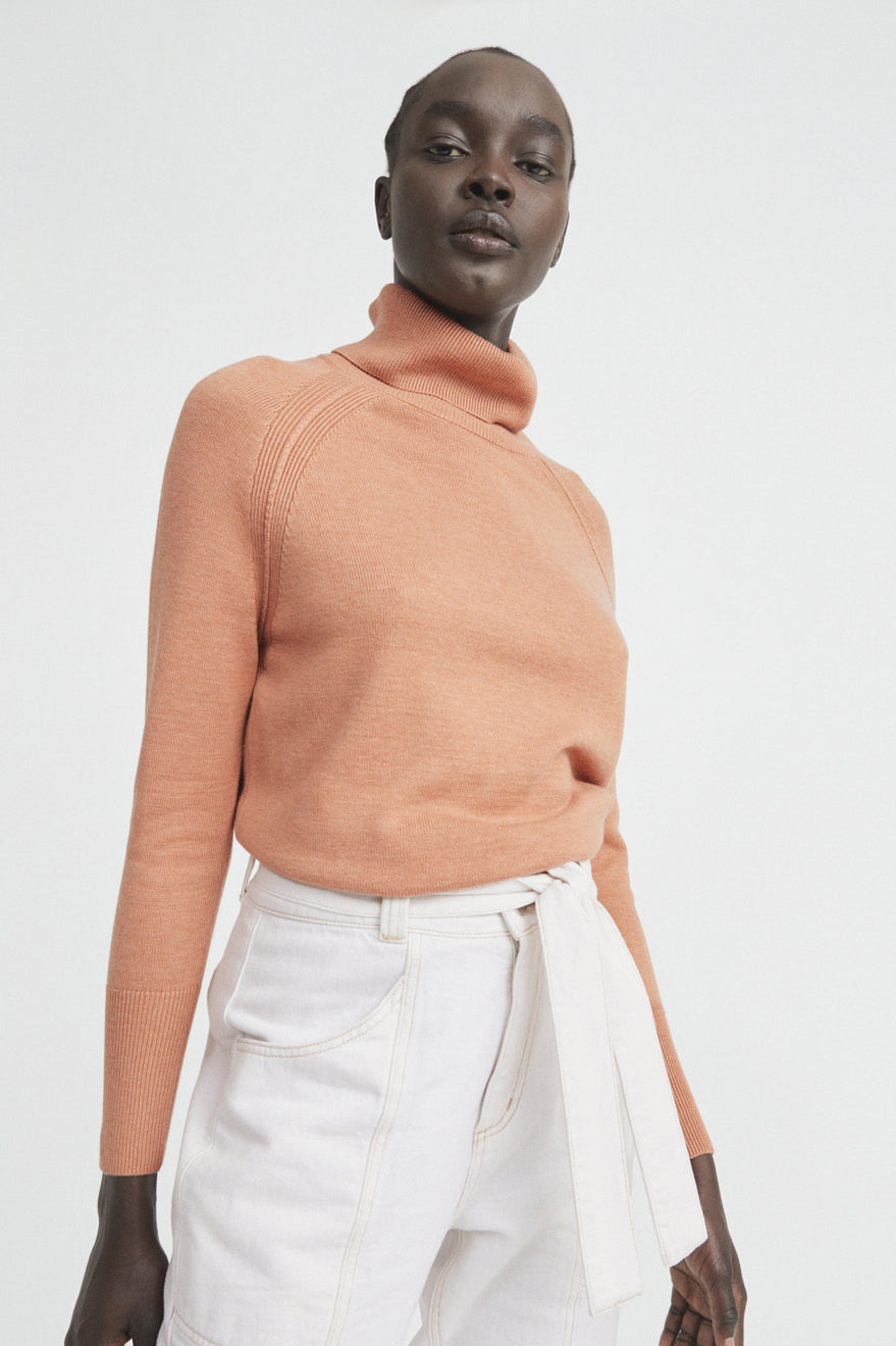 Roll Neck Raglan Knit