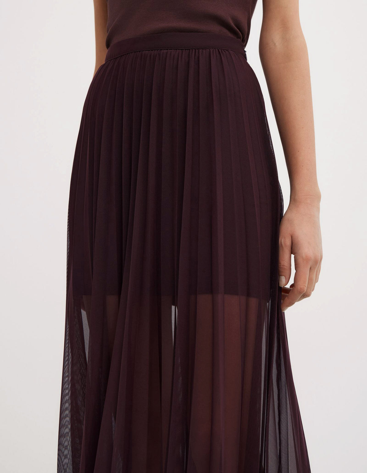 Pleated Mesh Skirt